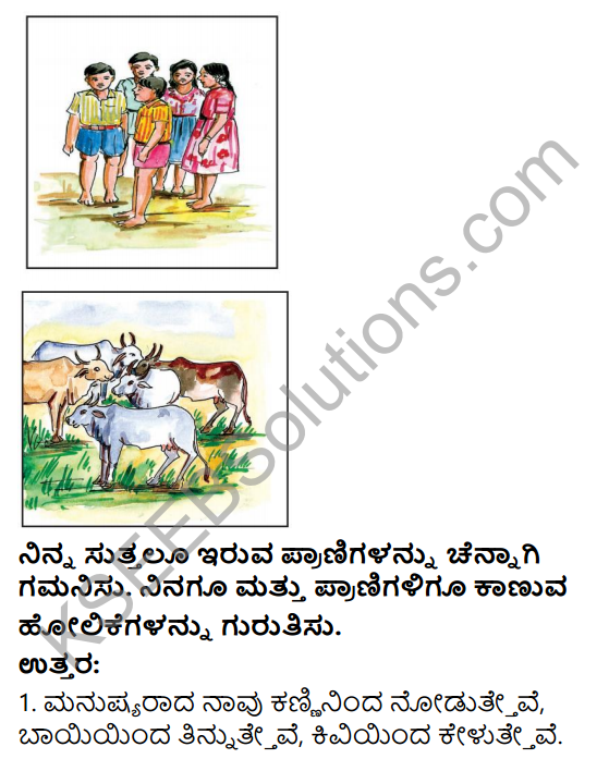 KSEEB Solutions for Class 4 EVS Chapter 1 The Animal Kingdom in Kannada -  KSEEB Solutions
