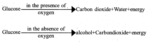KSEEB Solutions for Class 7 Science Chapter 10 Respiration in Organisms 2