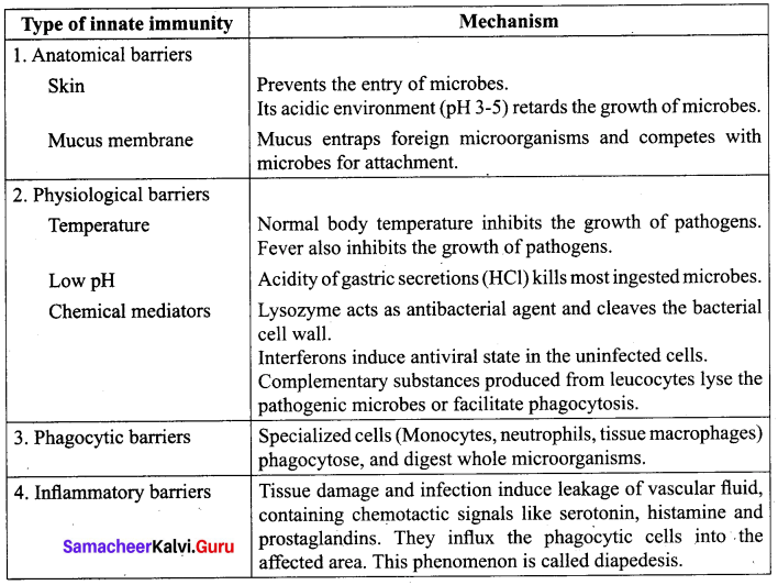 Tamil Nadu 12th Biology Model Question Paper 2 English Medium img 9